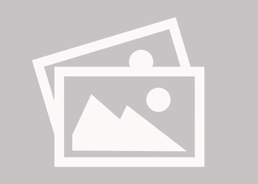 CategoryWiseTopNews-null-alt